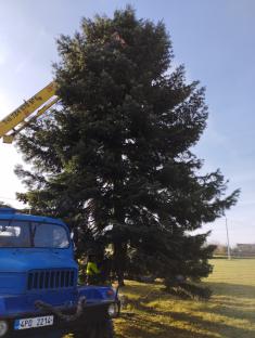 Stavění vánočního stromu 12.11.2022